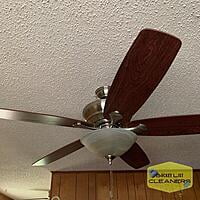 Clean Ceiling Fan